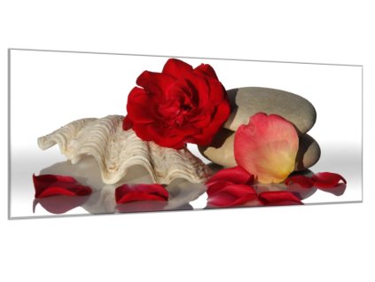 Obraz skleněný květ a lístky červené růže na mušli (Rozměry-obdélník 90 x 120 cm)