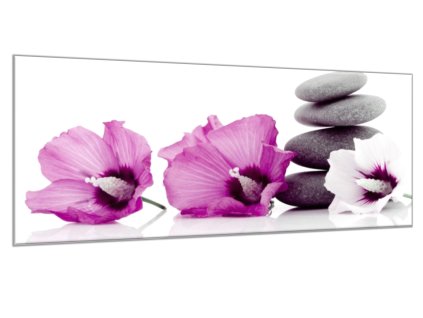 Obraz skleněný květ fialový ibišek a šedý kámen (Rozměry-obdélník 90 x 120 cm)