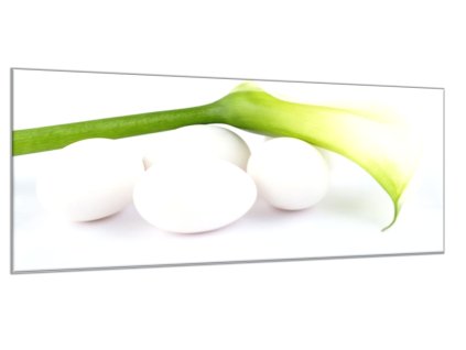 Obraz skleněný květ bílá kala a vejce (Rozměry-obdélník 90 x 120 cm)