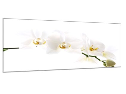 Obraz skleněný květy bílá orchidej (Rozměry-obdélník 90 x 120 cm)