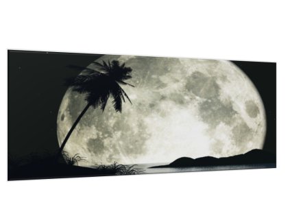 Obraz skleněný noční ostrov (Rozměry-obdélník 90 x 120 cm)