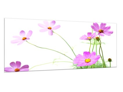 Obraz skleněný květ fialová kopretina na zelených stoncích (Rozměry-obdélník 90 x 120 cm)