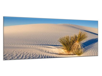 Obraz skleněný tráva v bílé písečné duně (Rozměry-obdélník 90 x 120 cm)