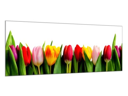 Obraz skleněný barevné tulipány (Rozměry-obdélník 90 x 120 cm)