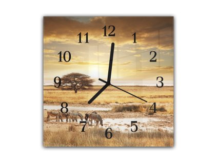 Nástěnné hodiny 30x30cm zebry Safari (Materiál kalené sklo)