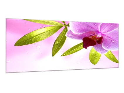 Obraz skleněný motiv wellness orchidej (Rozměry-obdélník 90 x 120 cm)