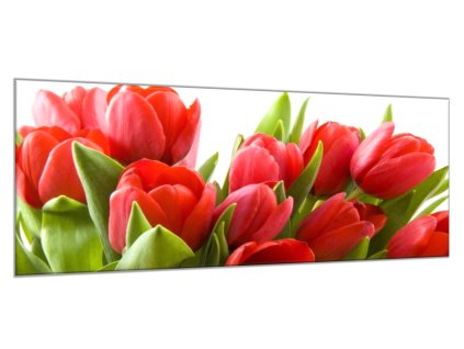 Obraz skleněný červené tulipány (Rozměry-obdélník 90 x 120 cm)