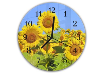 Nástěnné hodiny kulaté pr.30cm rozkvetlé pole slunečnic (Materiál kalené sklo)