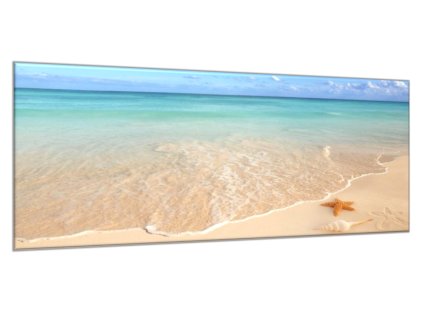 Obraz skleněný mořská hvězdice na pláži (Rozměry-obdélník 90 x 120 cm)