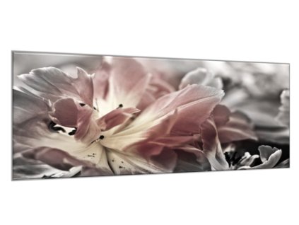 Obraz skleněný abstrakt květ tulipánu z blízka (Rozměry-obdélník 90 x 120 cm)
