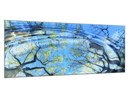 Obraz skleněný větve stromu odraz v hladině (Rozměry-obdélník 90 x 120 cm)
