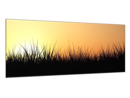 Obraz skleněný tráva v západu slunce (Rozměry-obdélník 90 x 120 cm)