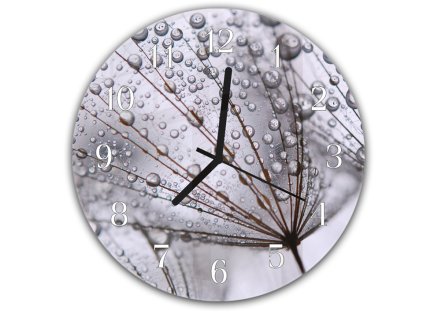 Nástěnné hodiny kulaté pr.30cm odkvetla pampeliška s rosou na šedém pozadí (Materiál kalené sklo)