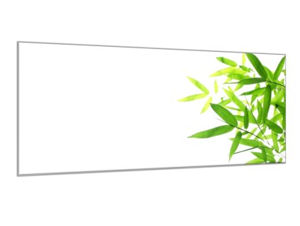 Obraz skleněný drobné bambusové listí na bílém podkladu (Rozměry-obdélník 90 x 120 cm)