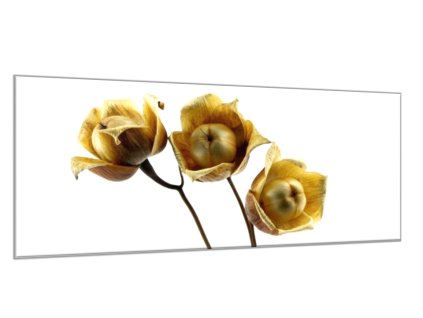 Obraz skleněný květ dřevěné růže (Rozměry-obdélník 90 x 120 cm)