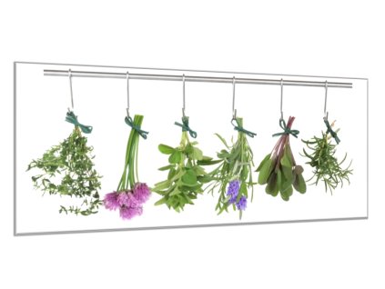 Obraz skleněný byliny zavěšené k sušení na tyči (Rozměry-obdélník 90 x 120 cm)