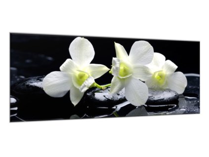 Obraz skleněný květy bílá orchidej na černém kameni (Rozměry-obdélník 90 x 120 cm)