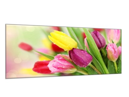 Obraz skleněný krásné květy barevné tulipány (Rozměry-obdélník 90 x 120 cm)