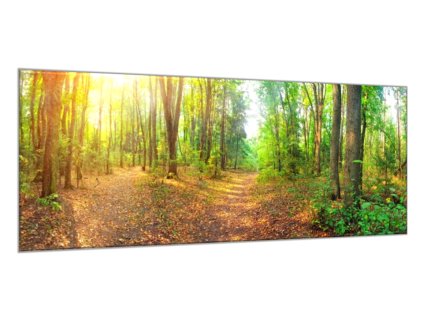 Obraz skleněný lesní pěšina (Rozměry-obdélník 90 x 120 cm)