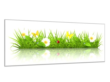 Obraz skleněný malovaná rozkvetla louka s beruškou (Rozměry-obdélník 90 x 120 cm)