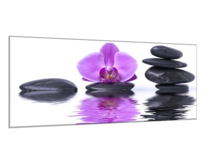 Obraz skleněný květ fialová orchidej na hladině vody s kameny (Rozměry-obdélník 90 x 120 cm)
