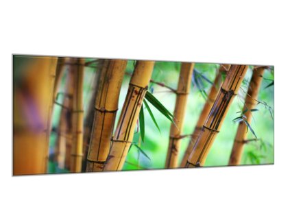 Obraz skleněný hnědý bambus a zelené pozadí (Rozměry-obdélník 90 x 120 cm)