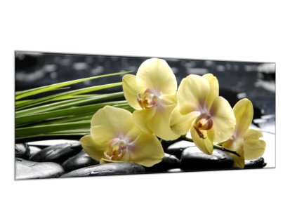 Obraz skleněný květy žlutá orchidej na černých kamenech (Rozměry-obdélník 90 x 120 cm)