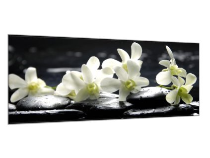 Obraz skleněný květy bílá orchidej na černém kameni (Rozměry-obdélník 90 x 120 cm)