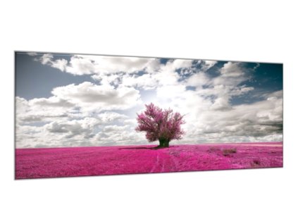 Obraz skleněný strom v levandulovém poli (Rozměry-obdélník 90 x 120 cm)
