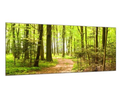 Obraz skleněný lesní cestička (Rozměry-obdélník 90 x 120 cm)