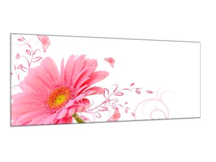 Obraz skleněný květ růžové gerbery na bílém pozadí (Rozměry-obdélník 90 x 120 cm)