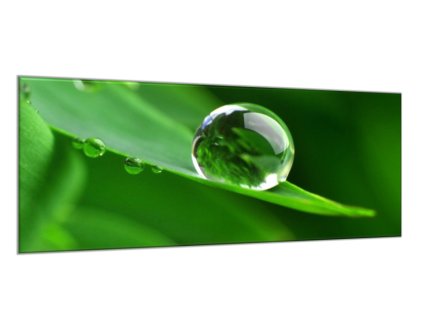 Obraz skleněný detail rosa na listu trávy (Rozměry-obdélník 90 x 120 cm)