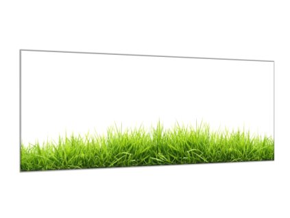 Obraz skleněný jarní tráva na bílé pozadí (Rozměry-obdélník 90 x 120 cm)