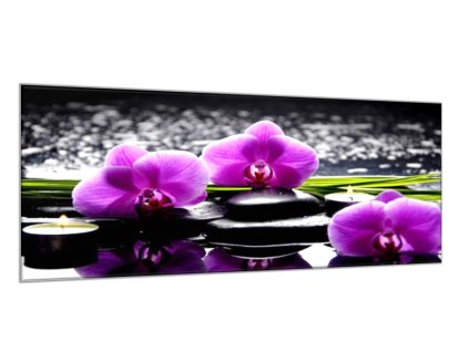 Obraz skleněný květy fialové orchideje na kamenech a tráva (Rozměry-obdélník 90 x 120 cm)