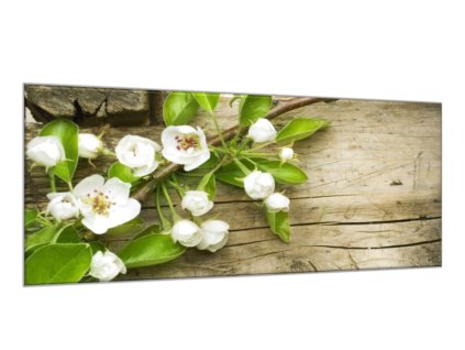 Obraz skleněný květ ovocného stromu na dřeve (Rozměry-obdélník 90 x 120 cm)