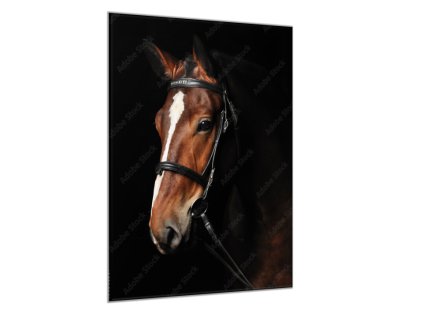 Obraz skleněný hnědý kůň s bílou lysinou (Rozměry-obdélník 90 x 120 cm)