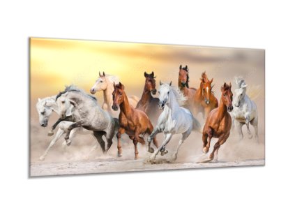 Obraz skleněný stádo koní v písku (Rozměry-obdélník 90 x 120 cm)