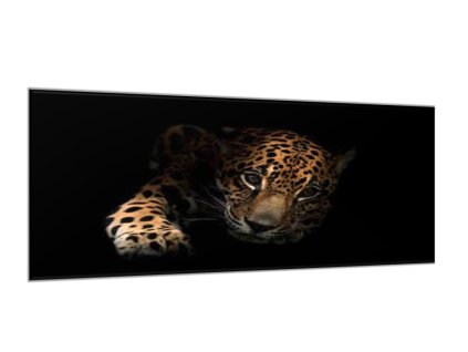 Obraz skleněný portrét ležící leopard (Rozměry-obdélník 90 x 120 cm)