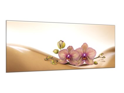 Obraz skleněný orchidej na hnědé vlně (Rozměry-obdélník 90 x 120 cm)