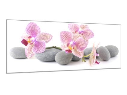 Obraz skleněný růžové květy orchidejí na šedých kamenech (Rozměry-obdélník 90 x 120 cm)