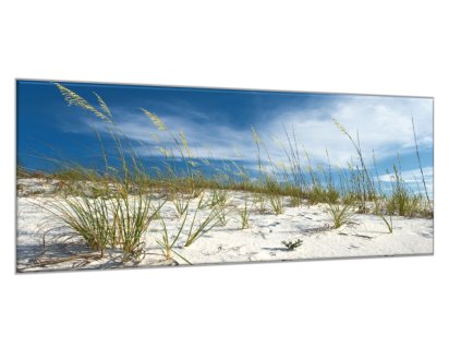 Obraz skleněný písečná duna s trávou (Rozměry-obdélník 90 x 120 cm)