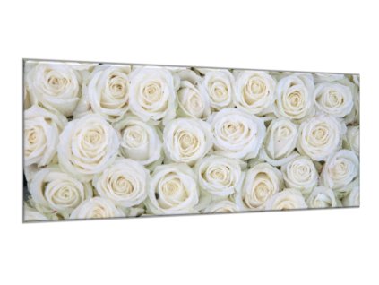 Obraz skleněný květy bílých růží (Rozměry-obdélník 90 x 120 cm)
