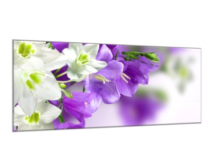 Obraz skleněný květy bílých a modrých zvonků (Rozměry-obdélník 90 x 120 cm)