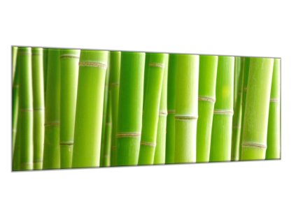 Obraz skleněný detaily stvolu zeleného bambusu (Rozměry-obdélník 90 x 120 cm)
