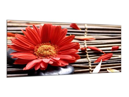 Obraz skleněný květ červené gerbery na proutí (Rozměry-obdélník 90 x 120 cm)