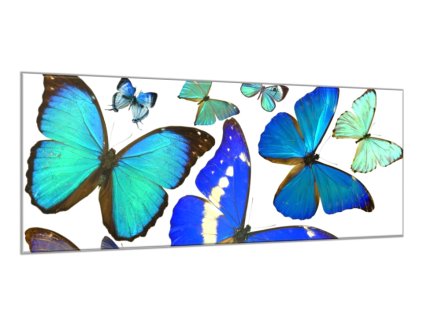 Obraz skleněný modrý motýl (Rozměry-obdélník 90 x 120 cm)