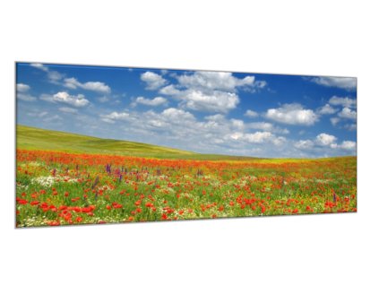 Obraz skleněný louka vlčích máků pod nebem (Rozměry-obdélník 90 x 120 cm)