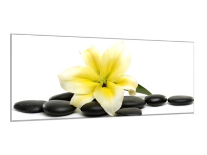 Obraz skleněný květy žluté lilie a černé kameny oblázky (Rozměry-obdélník 90 x 120 cm)