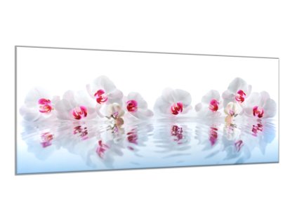 Obraz skleněný květy bílé orchideje na hladině (Rozměry-obdélník 90 x 120 cm)