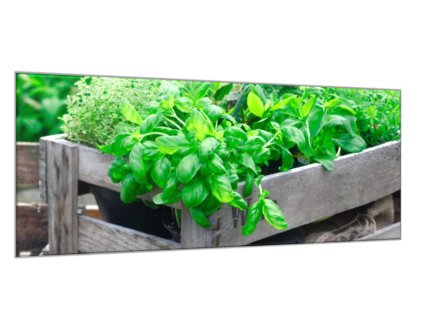 Obraz skleněný dřevěná bedna s bylinkami (Rozměry-obdélník 90 x 120 cm)